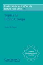 Topics in Finite Groups