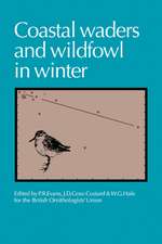 Coastal Waders and Wildfowl in Winter