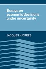 Essays on Economic Decisions under Uncertainty