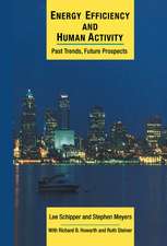Energy Efficiency and Human Activity