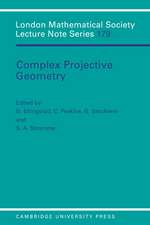 Complex Projective Geometry: Selected Papers