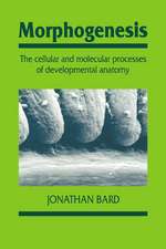 Morphogenesis: The Cellular and Molecular Processes of Developmental Anatomy