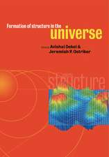 Formation of Structure in the Universe