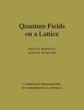 Quantum Fields on a Lattice