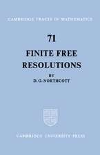 Finite Free Resolutions