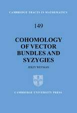 Cohomology of Vector Bundles and Syzygies