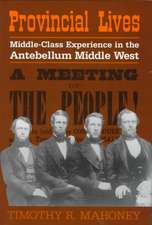 Provincial Lives: Middle-Class Experience in the Antebellum Middle West