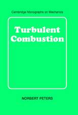 Turbulent Combustion