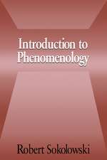 Introduction to Phenomenology