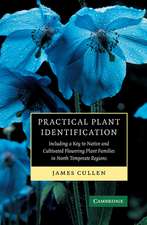 Practical Plant Identification: Including a Key to Native and Cultivated Flowering Plants in North Temperate Regions