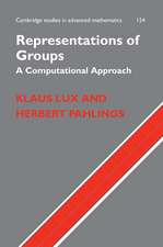 Representations of Groups: A Computational Approach