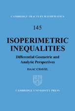 Isoperimetric Inequalities: Differential Geometric and Analytic Perspectives