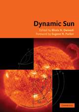 Dynamic Sun