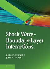 Shock Wave-Boundary-Layer Interactions