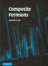 Composite Fermions