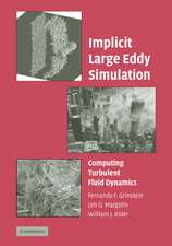 Implicit Large Eddy Simulation: Computing Turbulent Fluid Dynamics