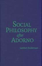 Social Philosophy after Adorno