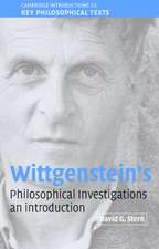 Wittgenstein's Philosophical Investigations