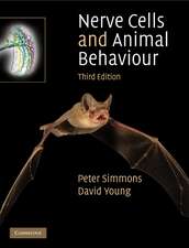 Nerve Cells and Animal Behaviour