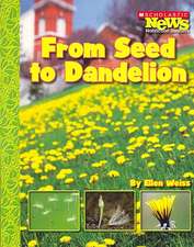 From Seed to Dandelion