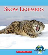 Snow Leopards