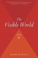 The Visible World: A Novel