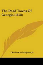 The Dead Towns Of Georgia (1878)