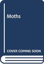 Moths