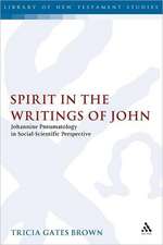 Spirit in the Writings of John: Johannine Pneumatology in Social-Scientific Perspective