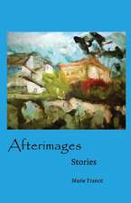 Afterimages: Stories