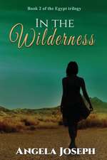 In The Wilderness: Book 2 of the Egypt trilogy