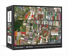 Overview Puzzle: A 1000-Piece Jigsaw Featuring Dutch Tulip Fields from Overview: Jigsaw Puzzles for Adults