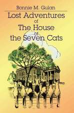 Lost Adventures of the House of the Seven Cats