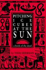 Pitching Ice Cubes at the Sun