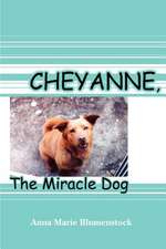 Cheyanne, the Miracle Dog