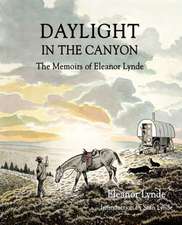 Daylight in the Canyon