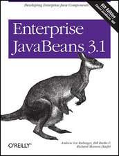 Enterprise JavaBeans 3.1 6e