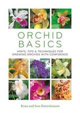 Orchid Basics