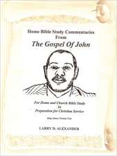 Home Bible Study Commentaries from the Gospel of John