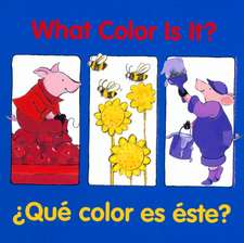 What Color Is It? / ¿qué Color Es Éste?