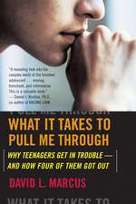 What It Takes To Pull Me Through: Why Teenagers Get in Trouble and How Four of Them Got Out