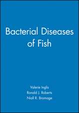 Bacterial Diseases of Fish