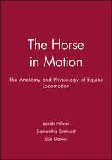 The Horse in Motion