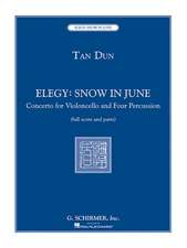 Elegy: Concerto for Violoncello and Four Percussionists