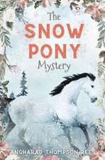 The Snow Pony Mystery