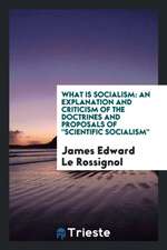 What Is Socialism: An Explanation and Criticism of the Doctrines and Proposals of Scientific Socialism