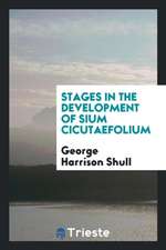 Stages in the Development of Sium Cicutaefolium