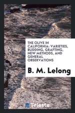 The Olive in California: Varieties, Budding, Grafting, New Methods, and General Observations