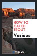 How to Catch Trout