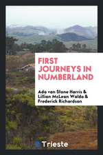 First Journeys in Numberland